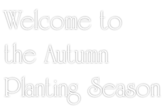 Welcome to the 2025 Spring Planting Season