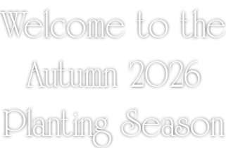 Welcome to the 2025 Spring Planting Season